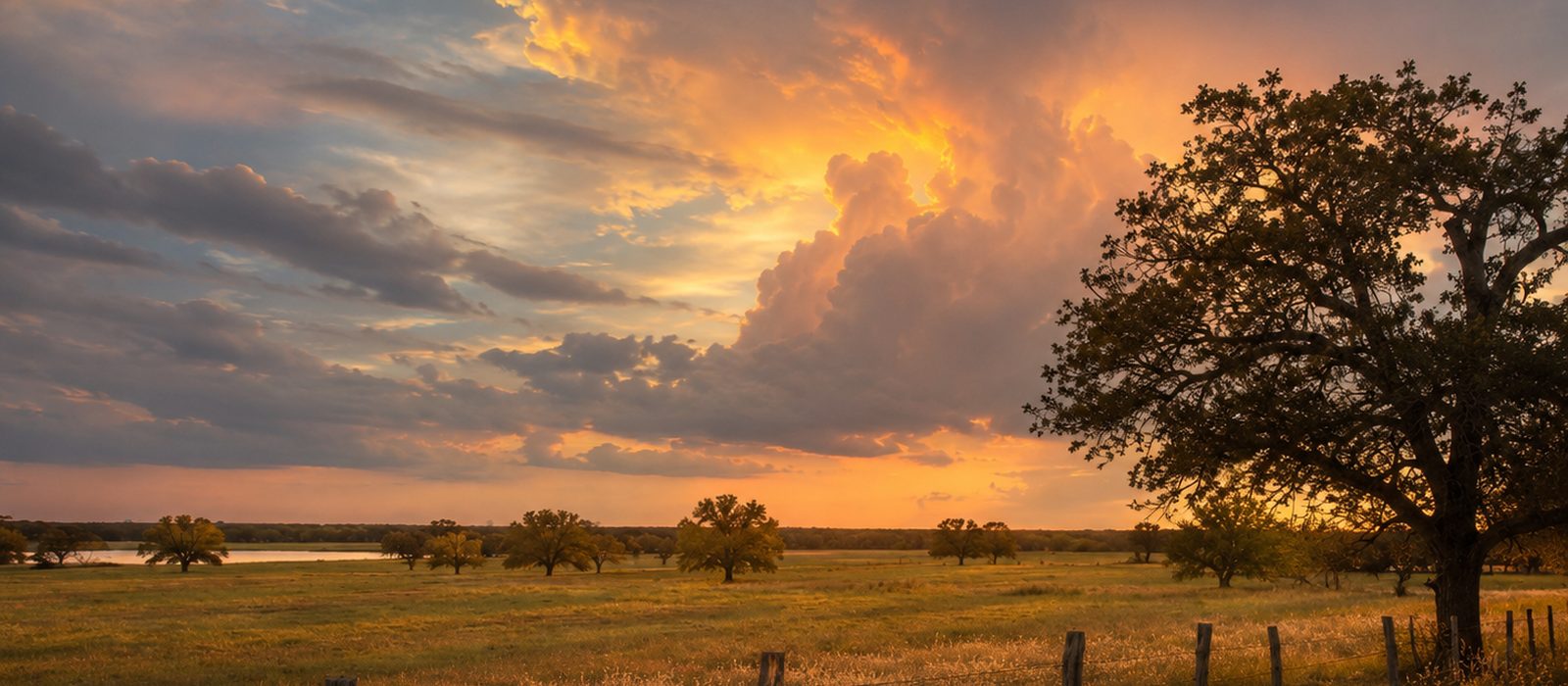 Golden storm light breaking over Texas pasture, oaks, and a fence line, with a stock pond in the distance.